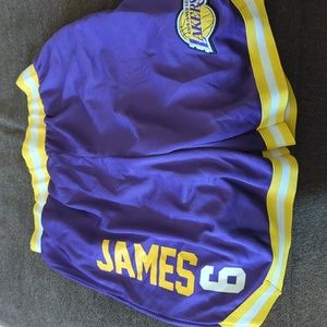 NBA LeBron James purple shorts